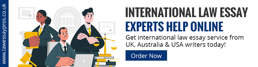 International Law Essay Experts Help Online