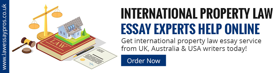 International Property Law Essay Experts Help Online